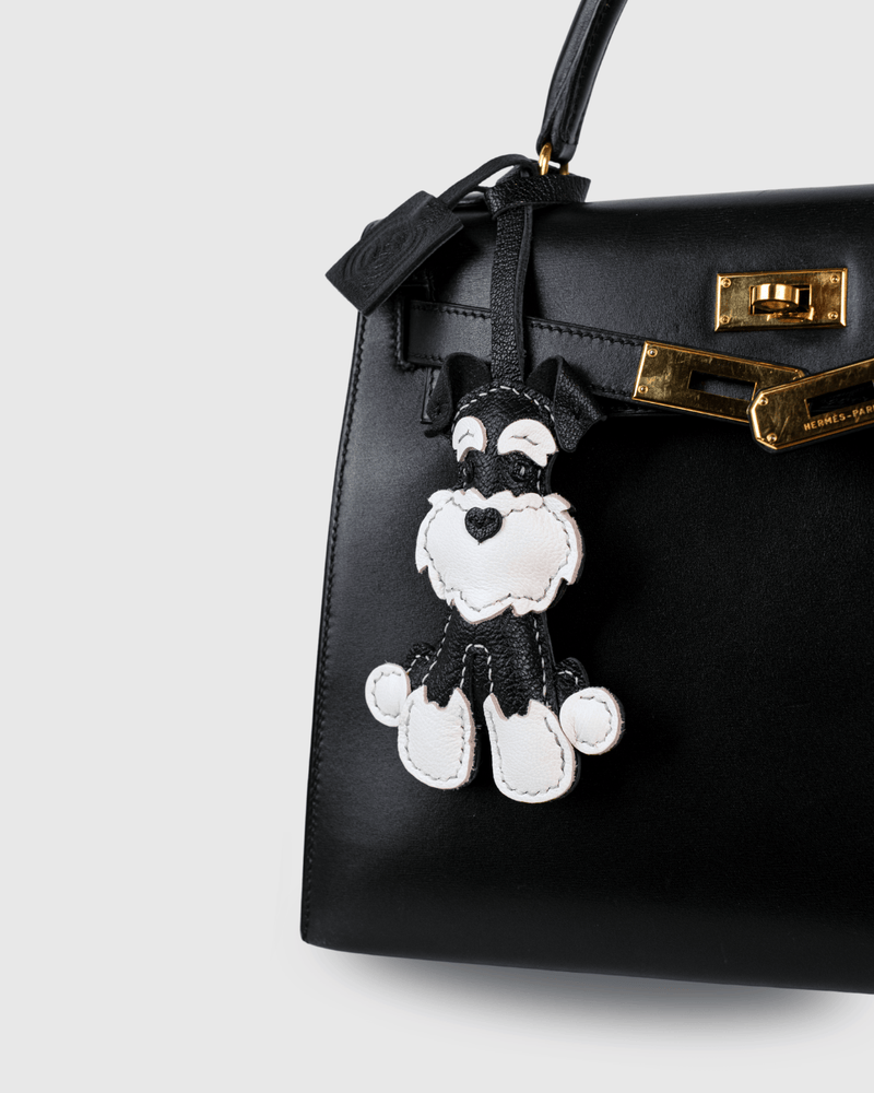 The Best Memorial Gifts for Someone Who Lost a Dog: Thoughtful Ways to Keep Their Memory Close