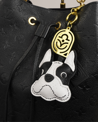 Parisian Pup