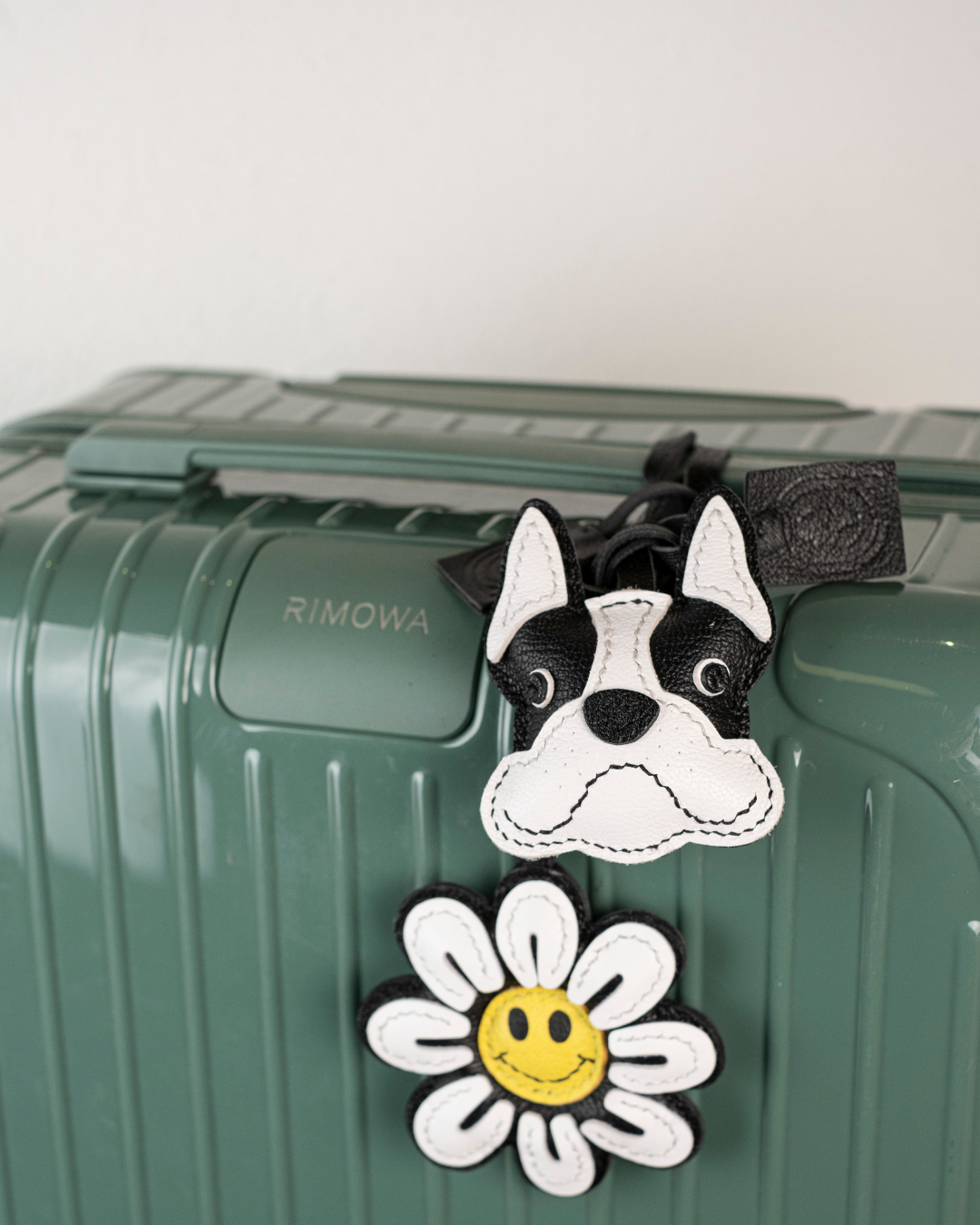 Parisian Pup