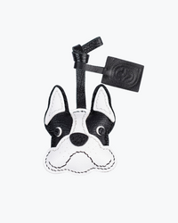 Parisian Pup